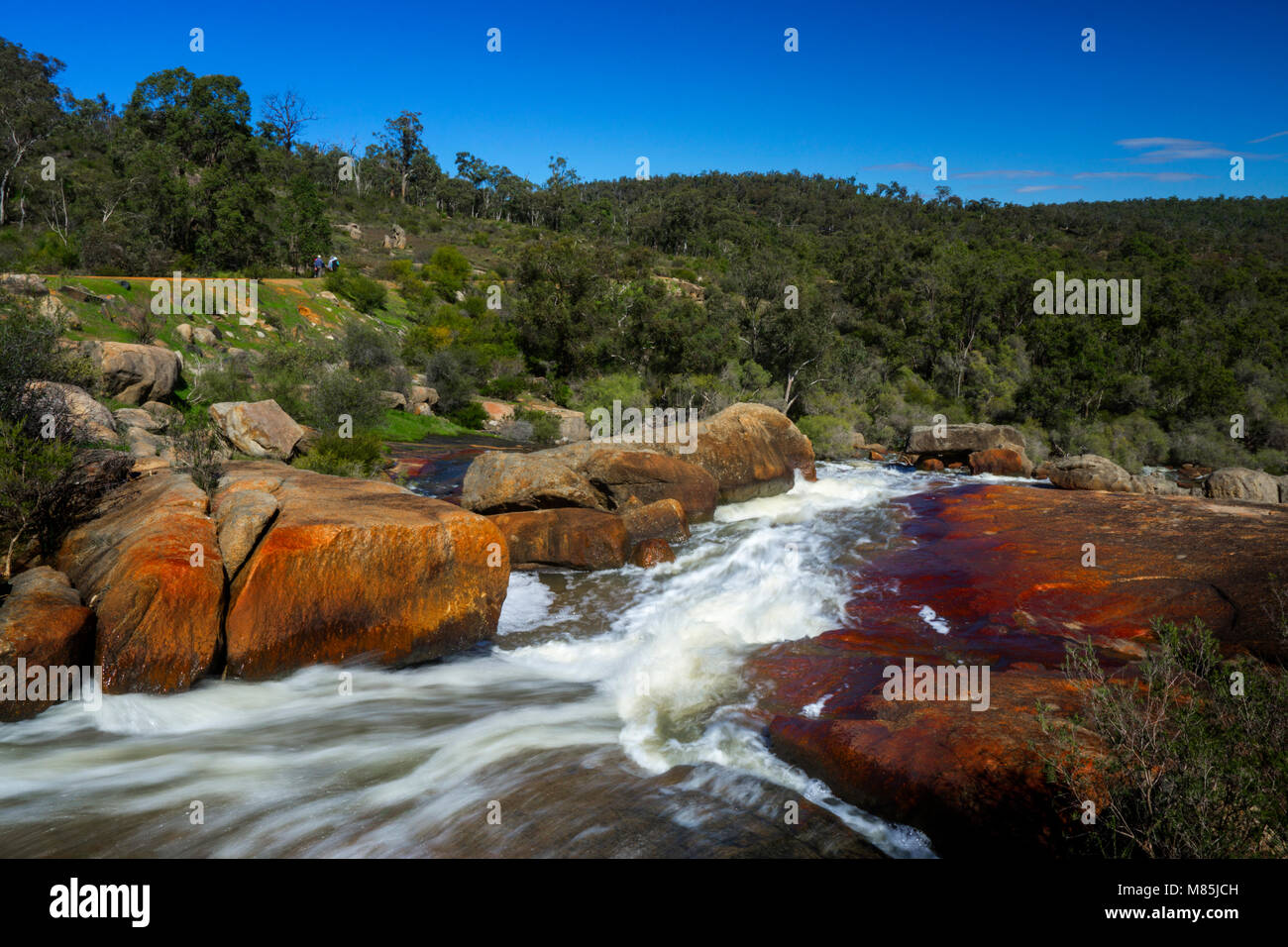 Hovea Falls, John Forrest National Park, collines de Perth, Australie occidentale Banque D'Images