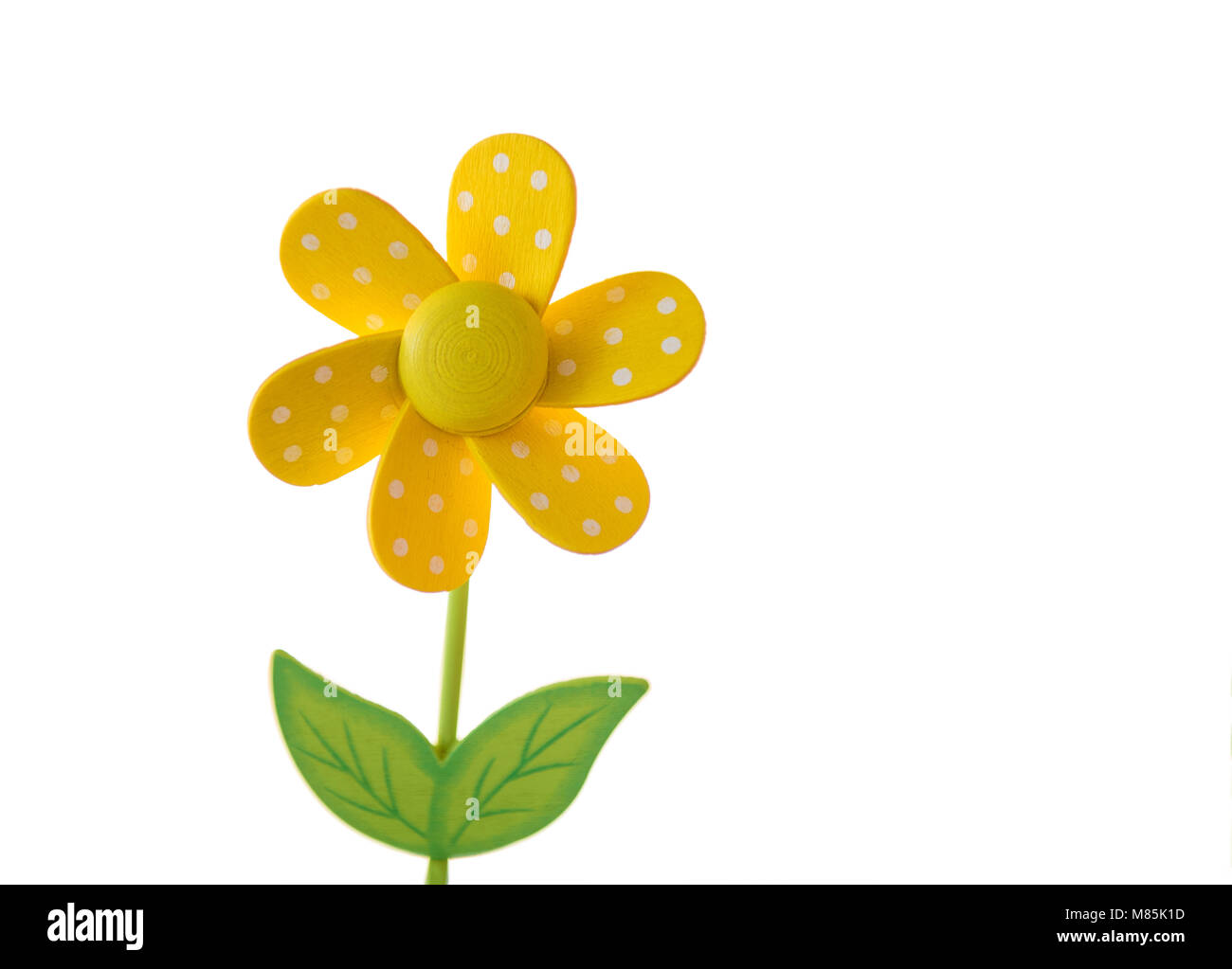 Daisy en bois jaune isolé sur fond blanc Banque D'Images