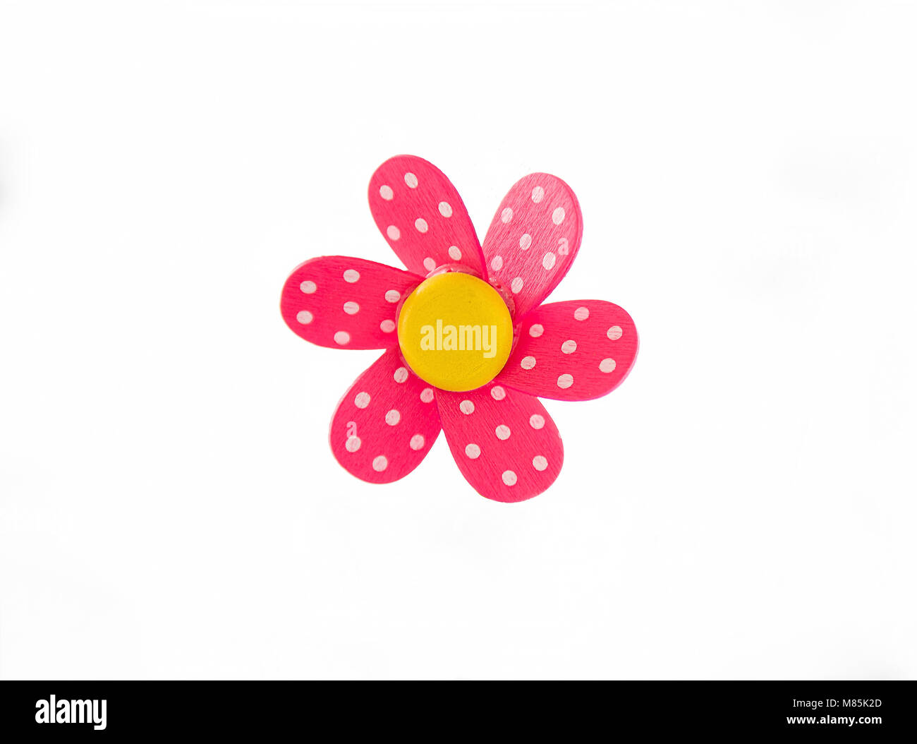 Rose simple daisy en bois isolé sur fond blanc Banque D'Images