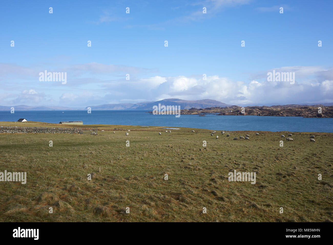 Un lumineux et ensoleillé de midi Février avec ciel bleu et nuages blancs. Le pâturage des moutons. ENE vers le bruit d'Iona, Bearraich et Ardmeanach sur Mull Banque D'Images
