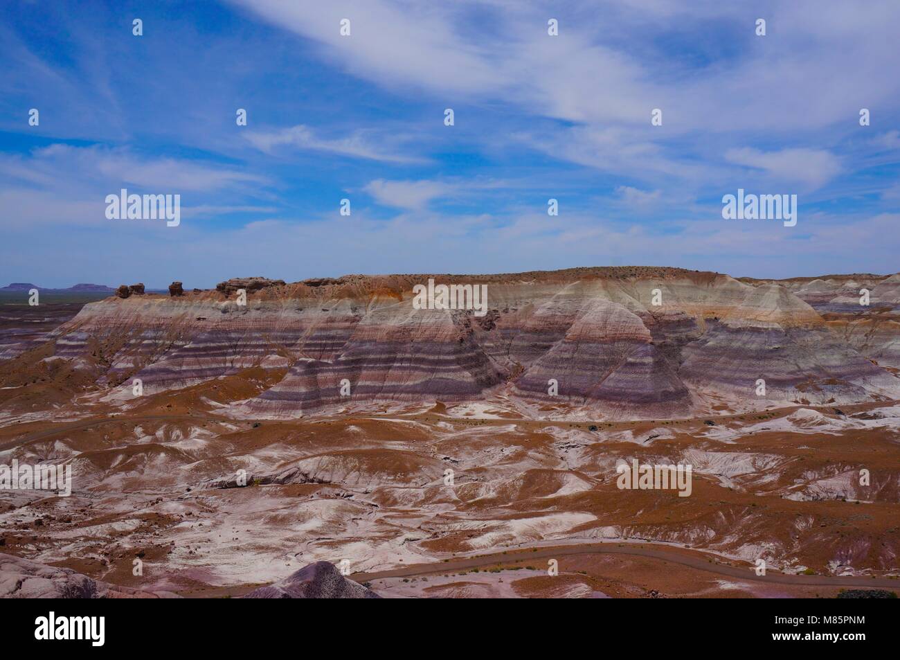 Forêt Pétrifiée de Badlands National Park, Arizona Banque D'Images