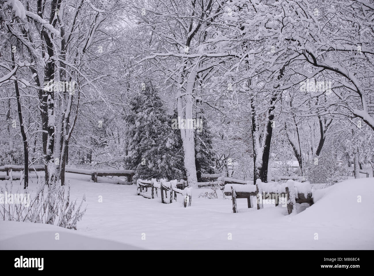 Laval,Canada,14,mars,2018.parc public avec des arbres chargés de neige Neige après l'hiver.Credit:Mario Beauregard/Alamy Live News Banque D'Images