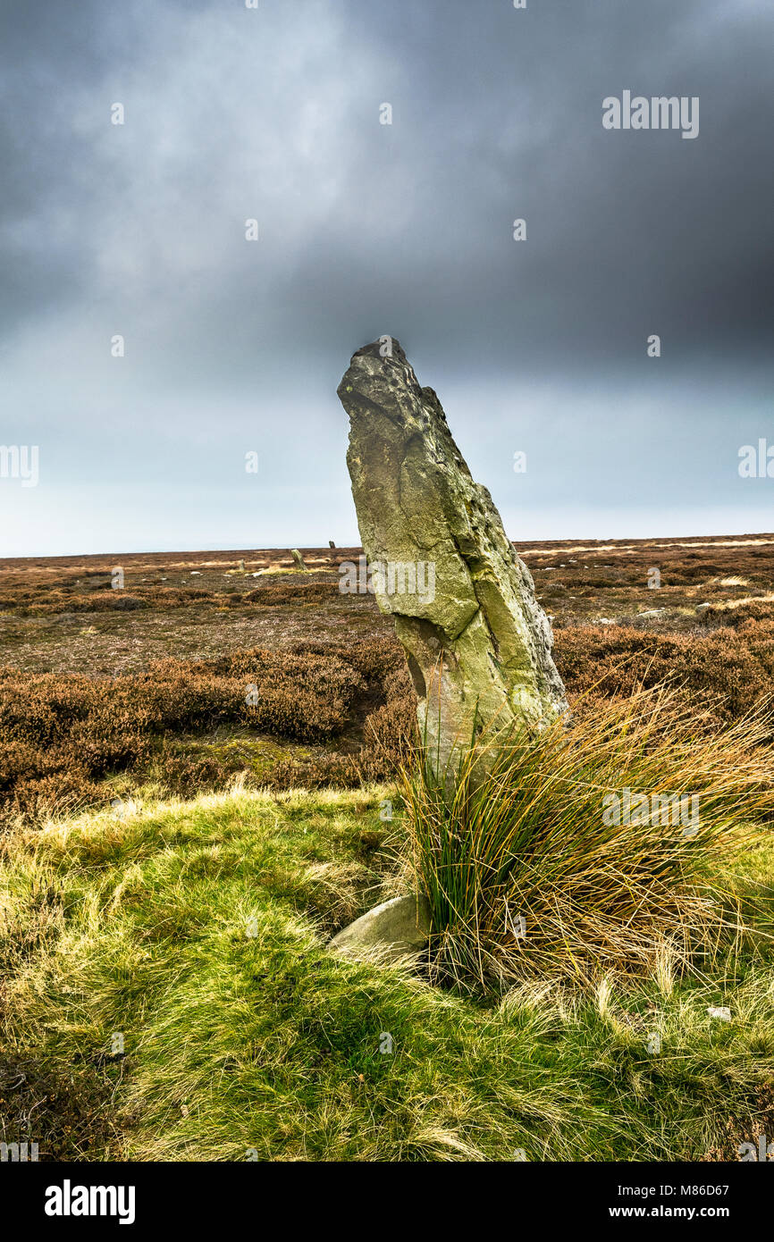 Bridestones élevé. North Yorkshire Moors. Banque D'Images