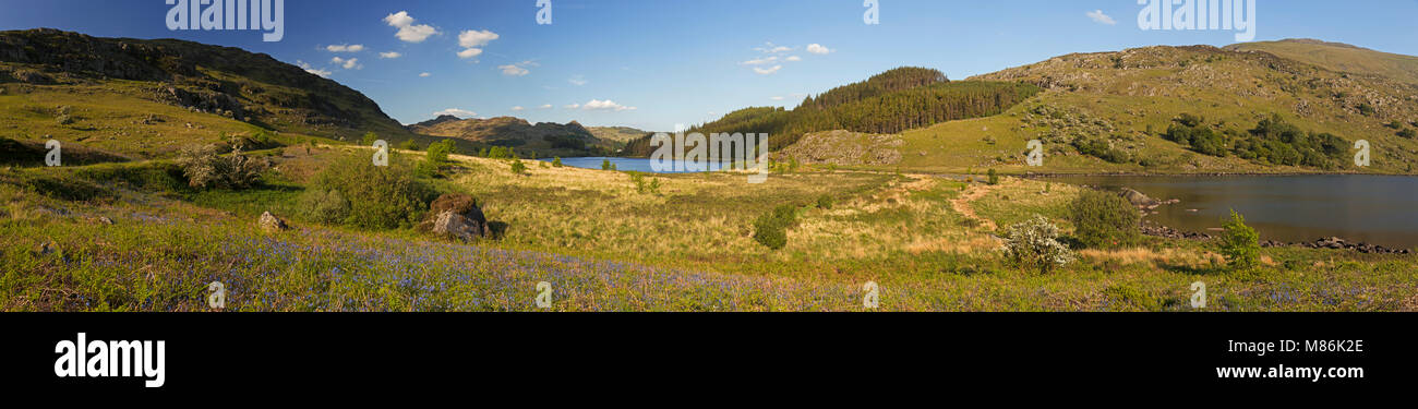 Panorama de Llyn Mymbyr et Moel Siabod lors d'une journée ensoleillée dans le Nord du Pays de Galles, Snowdonia Banque D'Images