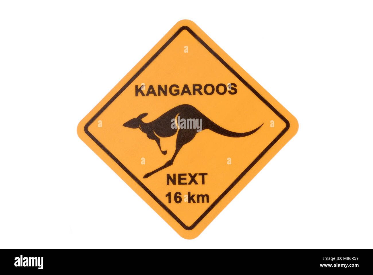 Australian road sign warning de kangourous isolé sur un fond blanc. Banque D'Images