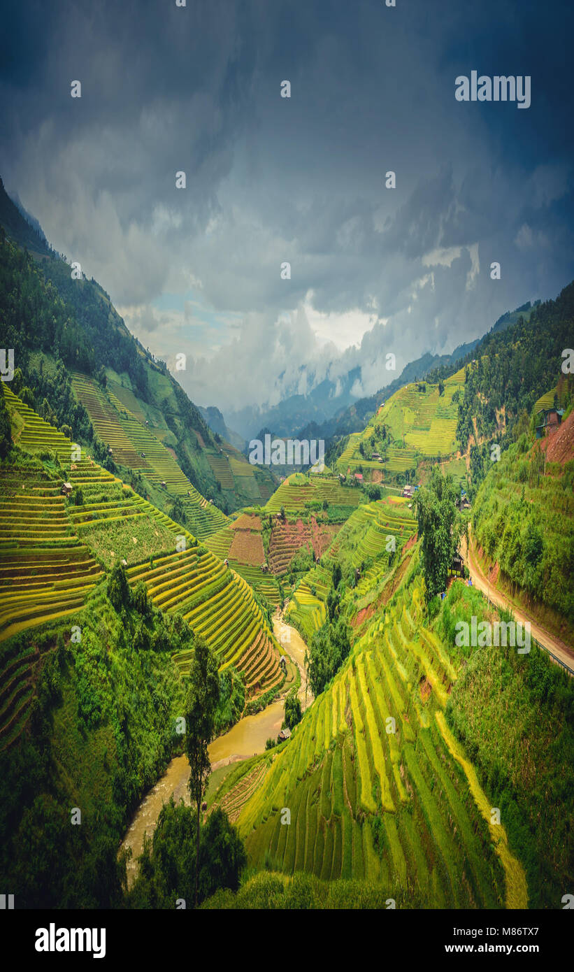 Les rizières en terrasses à ciel dramatique contexte en Mu Cang Chai, YenBai, Vietnam. Banque D'Images