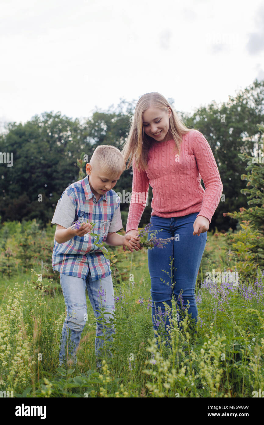 Fille et un garçon la cueillette des fleurs dans un pré Banque D'Images