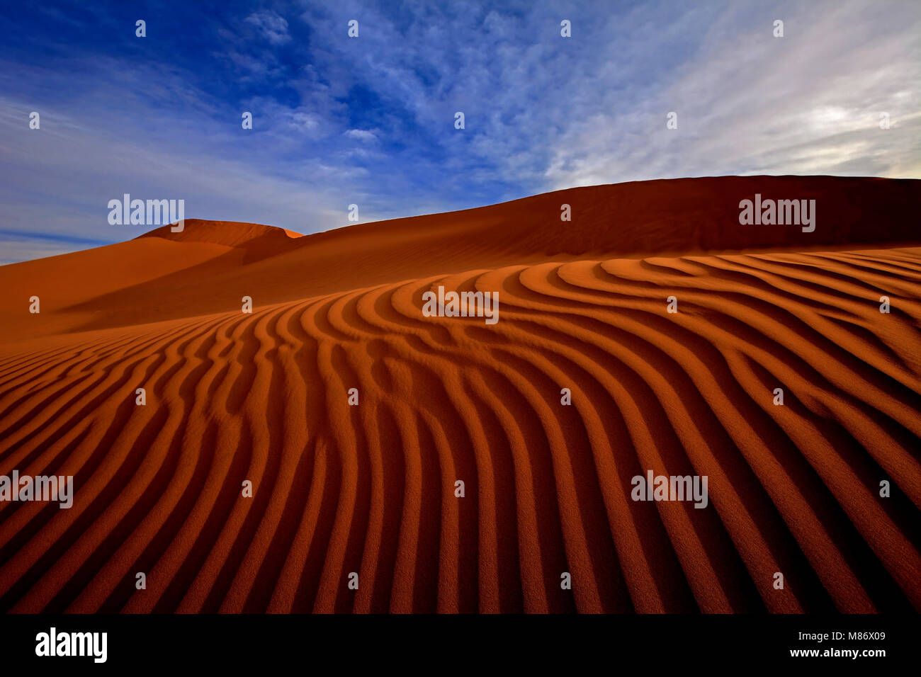 Paysage désertique, Riyadh, Arabie Saoudite Banque D'Images