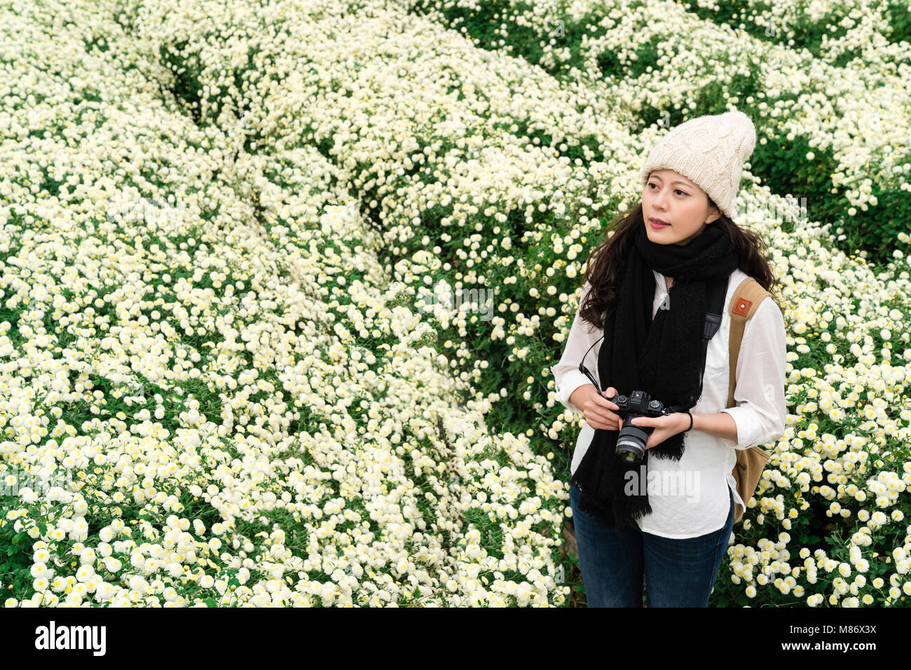 Portrait de belle asiatique femme avec chapeau de laine et écharpe en le chrysanthème blanc jardin en automne. Stand et admirer le paysage. Banque D'Images