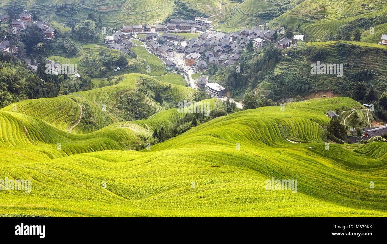 Longji terrasses de riz paysage, Longsheng County, Chine. Banque D'Images