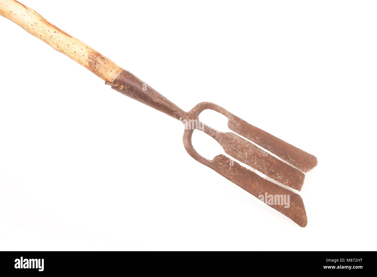 Une vieille, une lance ou une anguille métal gleave, sur un fond blanc, Dorset UK. La lance a été mis sur la fin d'une longue perche et poussée dans le blocage de l'eau Banque D'Images