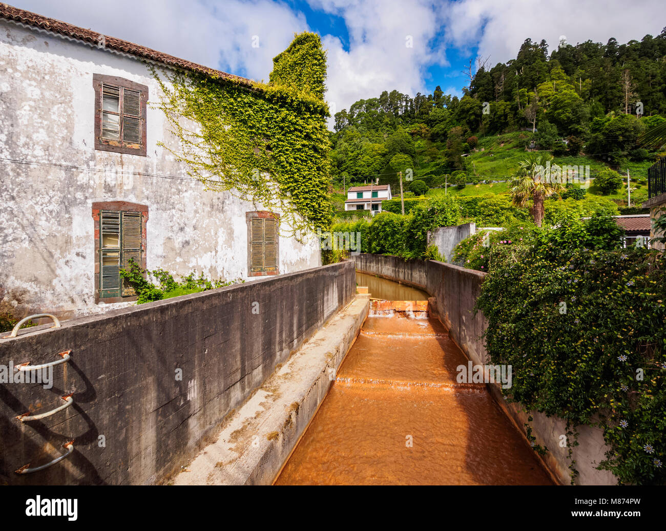 L'île de São Miguel, Furnas, Açores, Portugal Banque D'Images