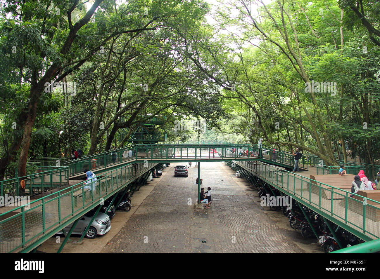 Forêt de la ville de Bandung, humide de Java, en Indonésie. Banque D'Images