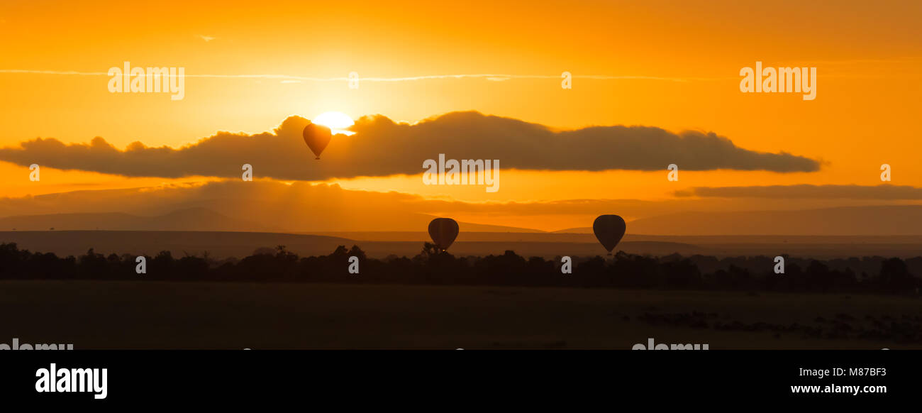 Plus de ballon le Masai Mara au lever du soleil. Trois ballons drift bas au-dessus de la savane à l'aube. Bannière panoramique dans populaires socila dimensions du support. Banque D'Images
