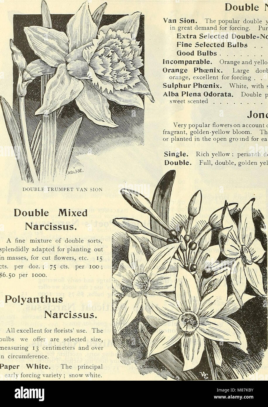 Dreer's Liste des prix de gros bulbes plantes - fleurs de saison et de légumes les engrais, les outils, etc., etc. (1904) (21030237346) Banque D'Images