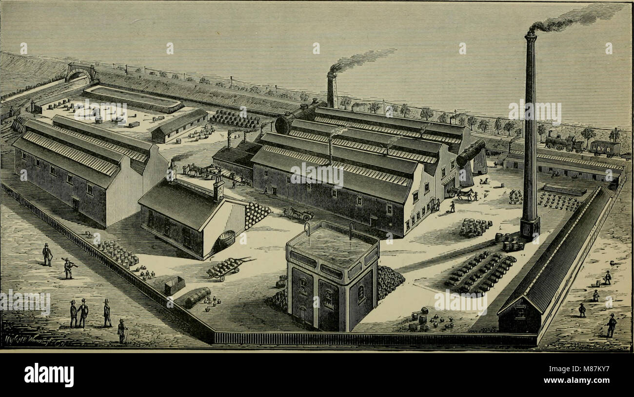 Les travaux de teinture de 1888 couvrent les processus de teinture et de blanchiment de diverses fibres naturelles, y compris la laine, la soie, le coton, le lin, chanvre, et herbe de chine. Il traite des techniques, des matériaux et de l'histoire de la coloration textile utilisée dans l'industrie textile. Banque D'Images