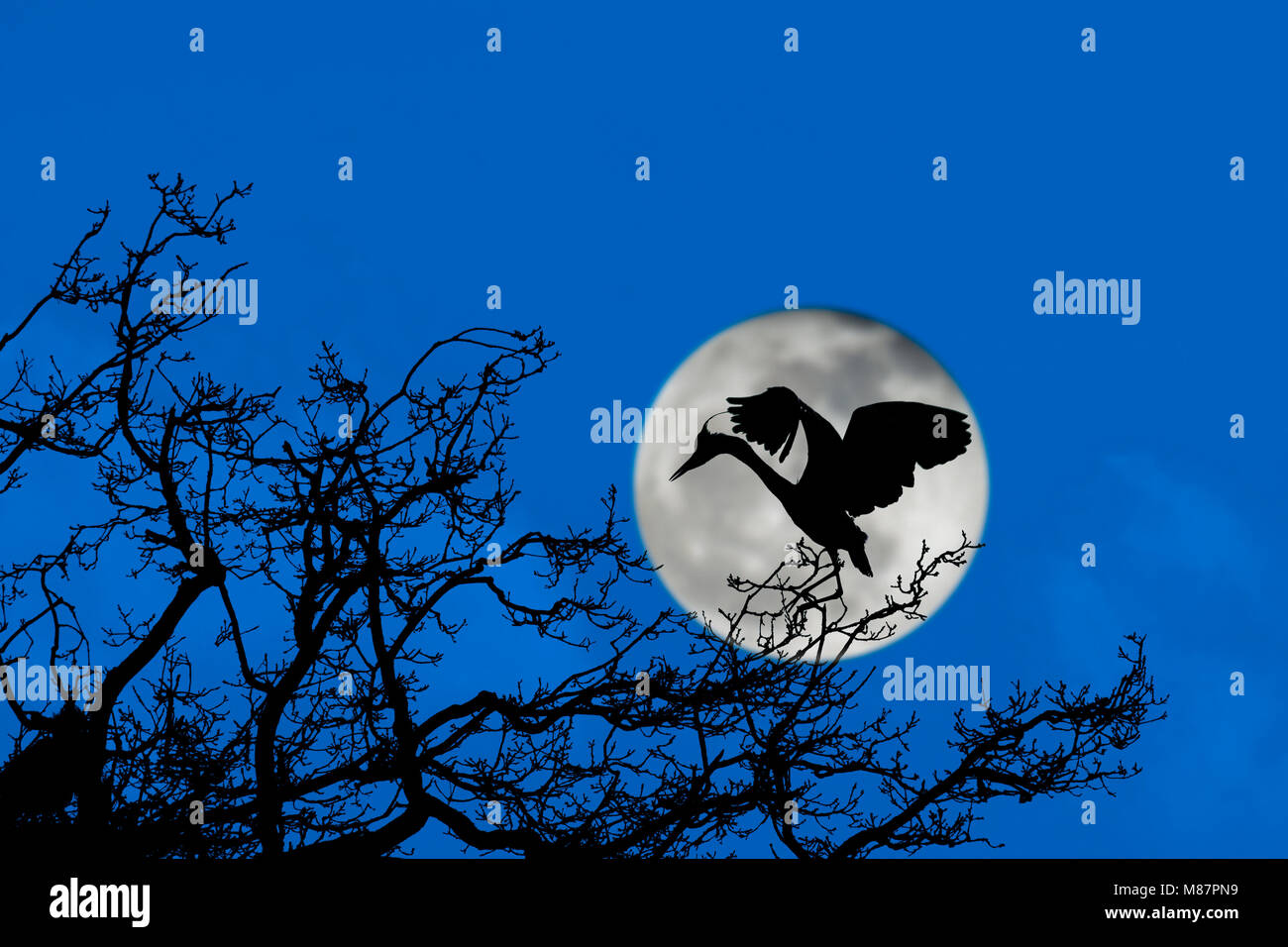 Atterrissage sur la lune Banque de photographies et d’images à haute ...
