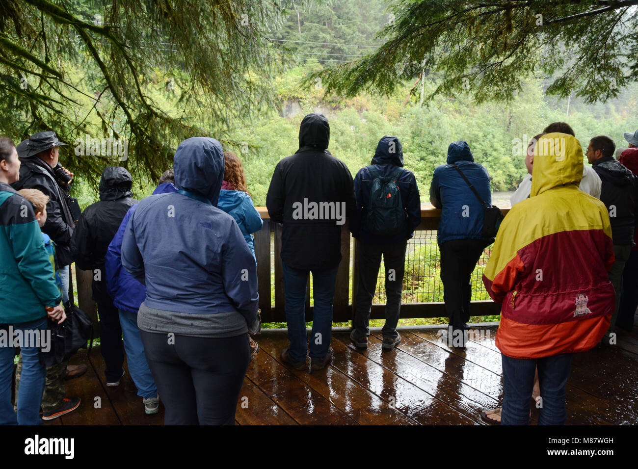 Les touristes sur la plate-forme d'observation de l'ours à la Fish Creek Wildlife Observation Site, dans la forêt nationale de Tongass, près de Hyder, Alaska. Banque D'Images