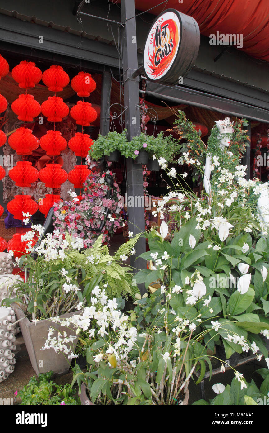 La Thaïlande, Chiang Mai, Hot Chili, restaurant, extérieur, fleurs, lanternes, Banque D'Images