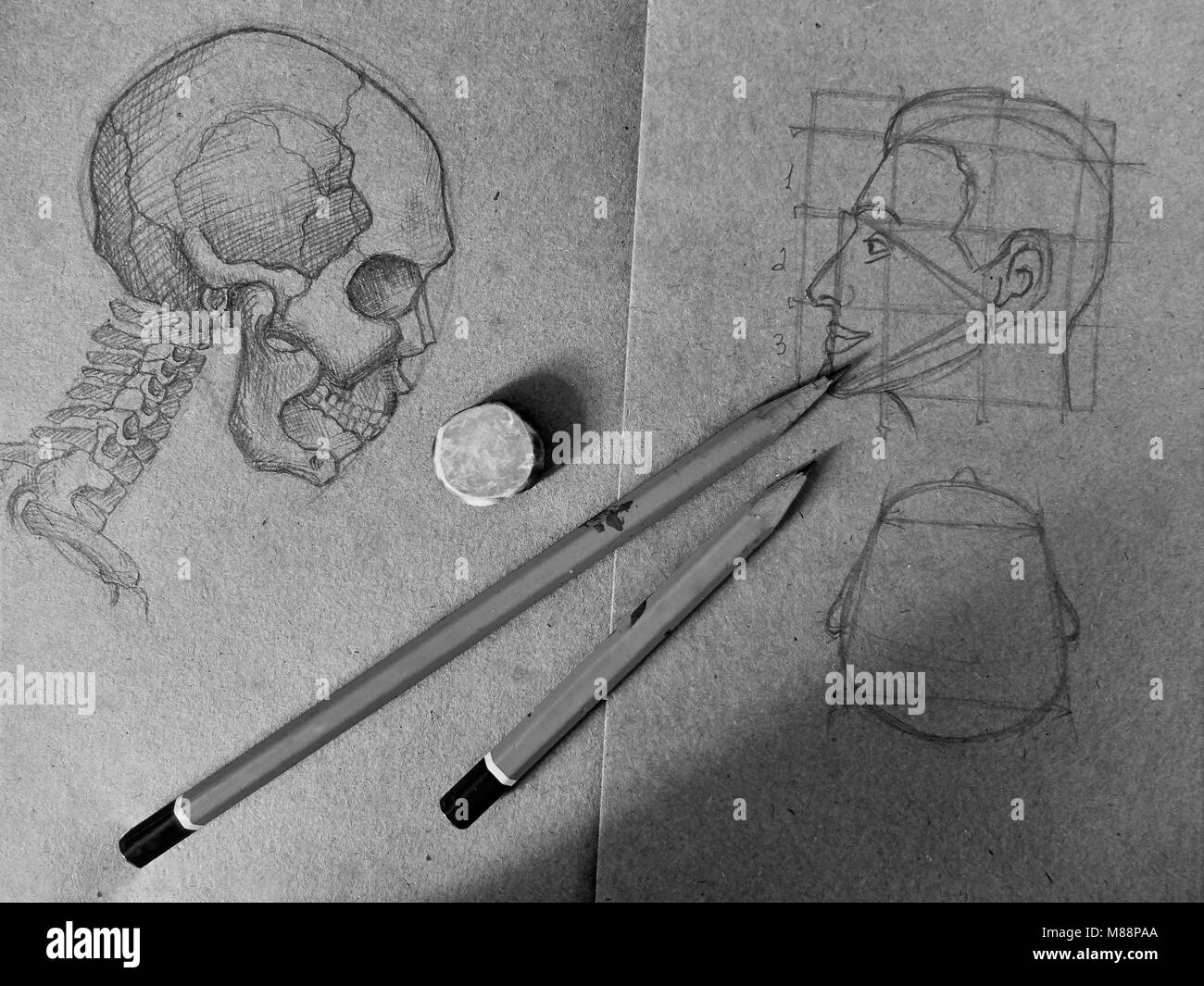 Croquis au crayon d'un crâne et d'une tête humaine dans l'ancien ordinateur portable image en noir et blanc Banque D'Images