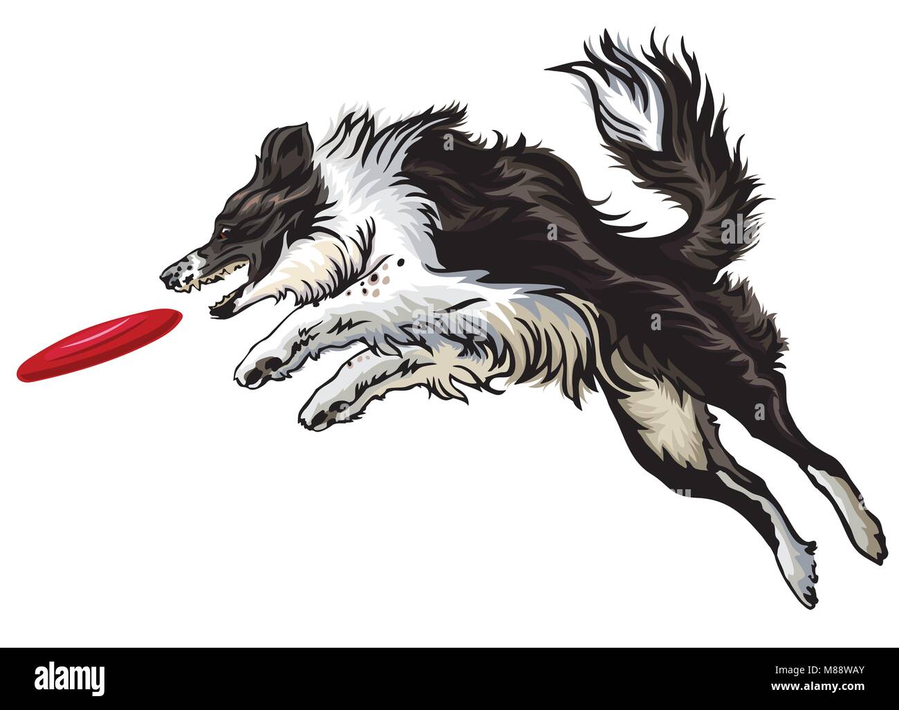 Vector illustration colorée avec chien (border collie) isolé sur fond blanc. Chien noir et blanc moelleux dans le profil voir sauter et attraper des re Illustration de Vecteur
