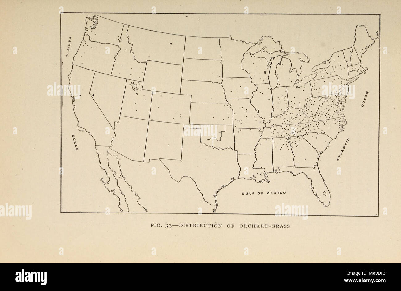 Les herbes de la ferme des États-Unis ; un traité pratique sur l'herbe, à l'ensemencement des cultures et la gestion des prairies et pâturages, la description des meilleures variétés, les semences et de ses impuretés, graminées pour (14777861054) Banque D'Images