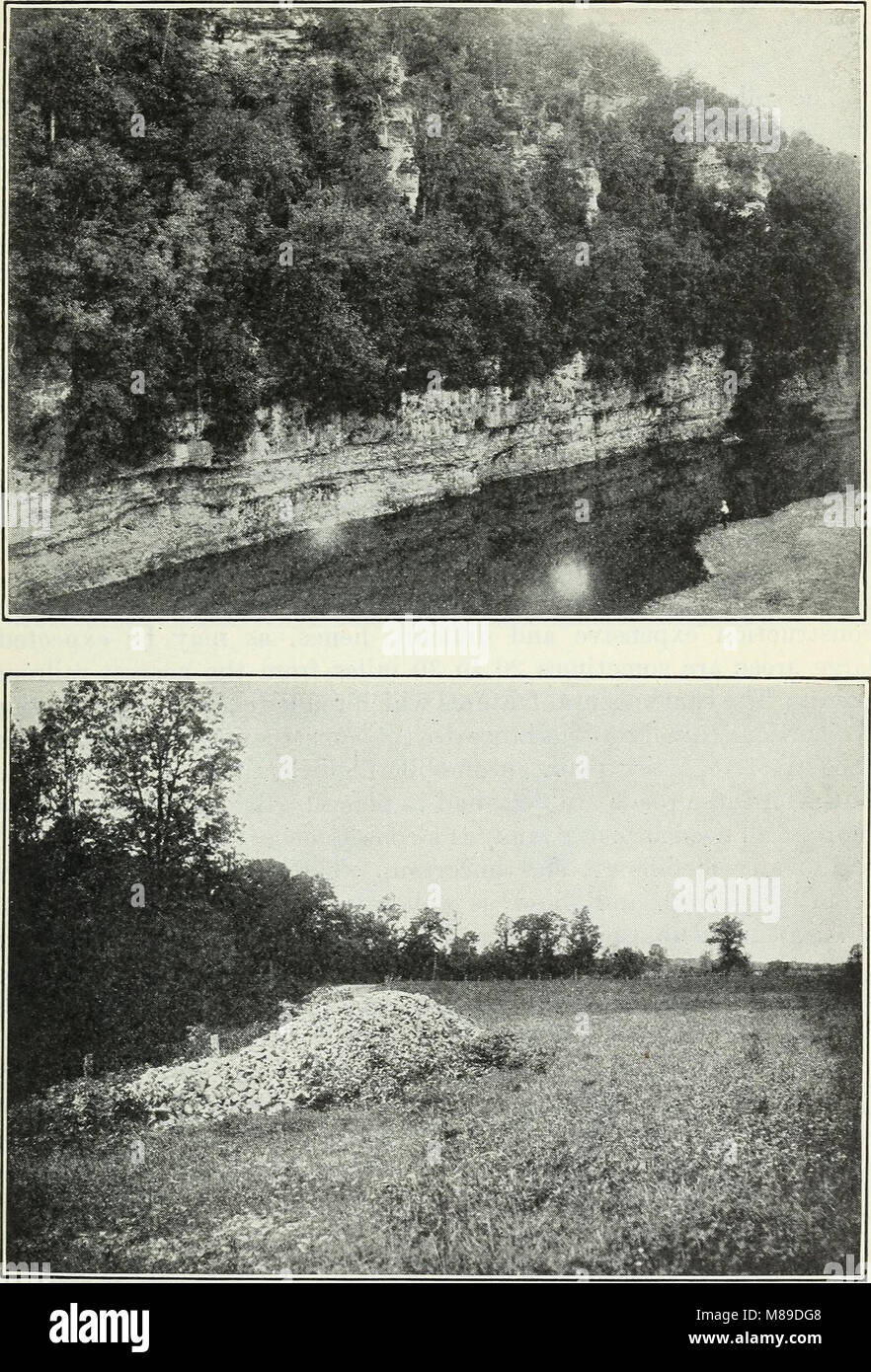 Cette étude de la gestion agricole dans la région d'Ozark au Missouri (1921) se concentre sur l'organisation et l'exploitation de fermes représentatives, examinant les pratiques agricoles, les opérations agricoles et la durabilité économique dans la région. Banque D'Images
