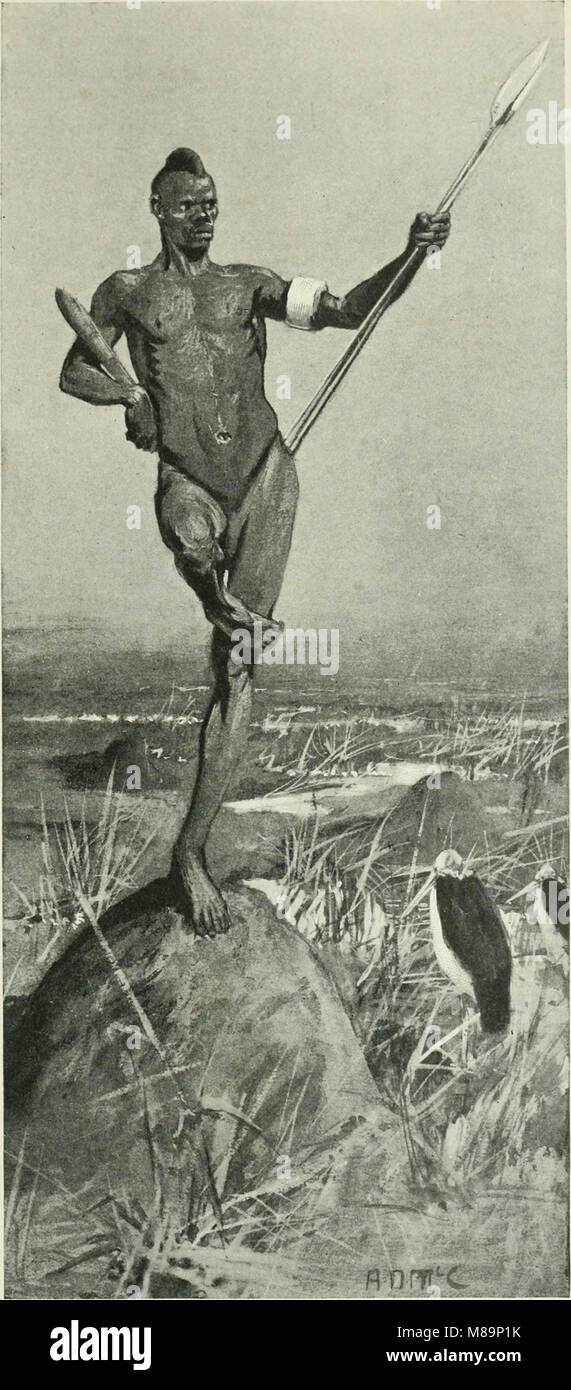 Ce récit de 1900 décrit le premier voyage réussi à travers l'Afrique, du point le plus au sud du Cap de bonne-espérance à la partie la plus au nord du Caire, documentant les défis, les découvertes et les expériences en cours de route. Banque D'Images