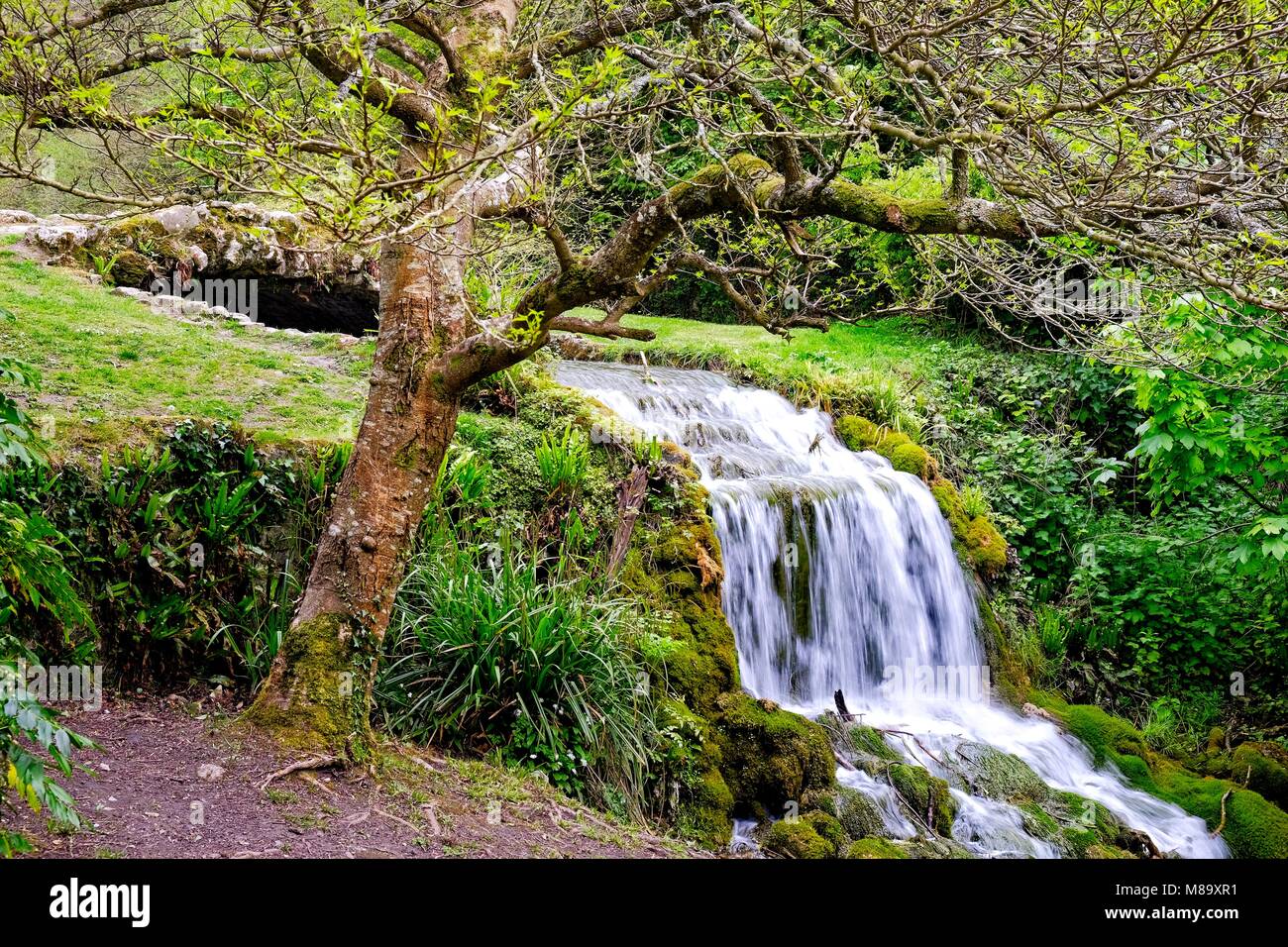 L'EMPLACEMENT DE LA SCÈNE DE MEURTRE DANS LA SÉRIE BROADCHURCH AVEC DAVID TENNANT ET OLIVIA COLEMAN, PEU BREDY, Dorchester, Dorset Banque D'Images