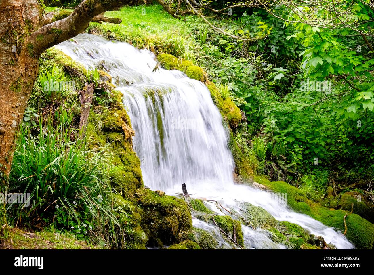 L'EMPLACEMENT DE LA SCÈNE DE MEURTRE DANS LA SÉRIE BROADCHURCH AVEC DAVID TENNANT ET OLIVIA COLEMAN, PEU BREDY, Dorchester, Dorset Banque D'Images
