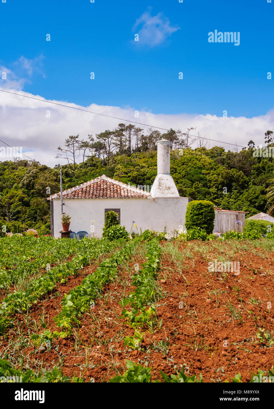 Maison traditionnelle, l'île de Santa Maria, Açores, Portugal Banque D'Images