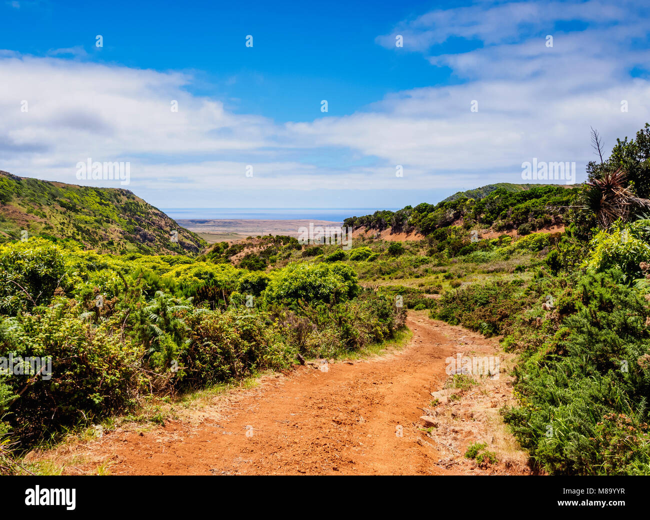 Paysage du nord, l'île de Santa Maria, Açores, Portugal Banque D'Images