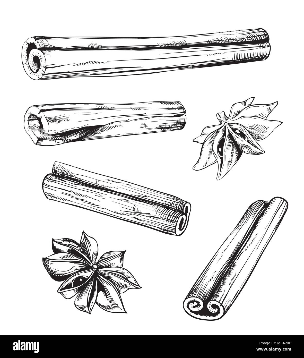 Cannelle et anis vector isolated on white Illustration de Vecteur