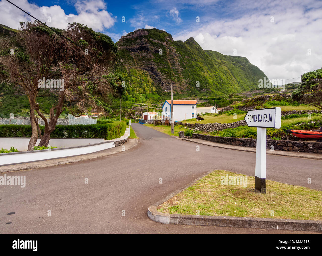 Faja Grande, l'île de Flores, Açores, Portugal Banque D'Images
