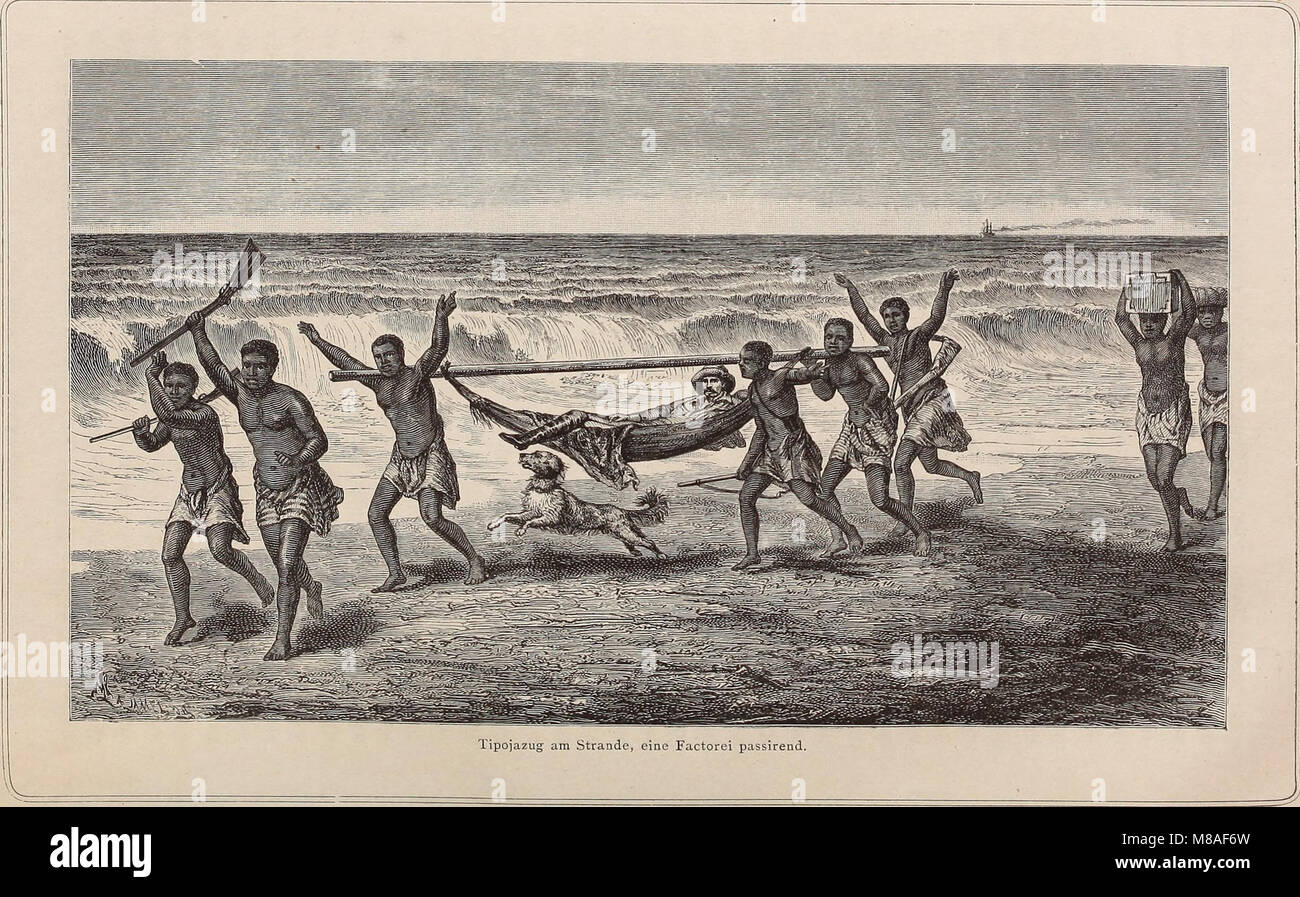 Die Loango-Expedition ausgesandt von der Deutschen Gesellschaft zur Erforschung, Aequatorial-Africas 1873-1876. Dans Reisewerk Ein drei Abtheilungen (1888) (20745108969) Banque D'Images