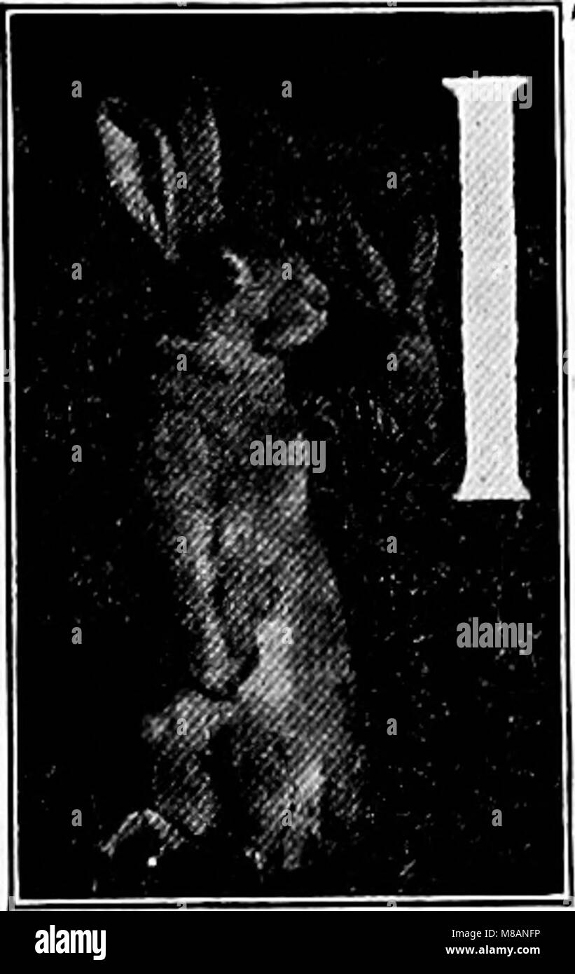 Manuel d'étude de la nature pour les enseignants et les parents, en fonction de la nature de l'étude de Cornell (1911) Dépliants (20772213986) Banque D'Images