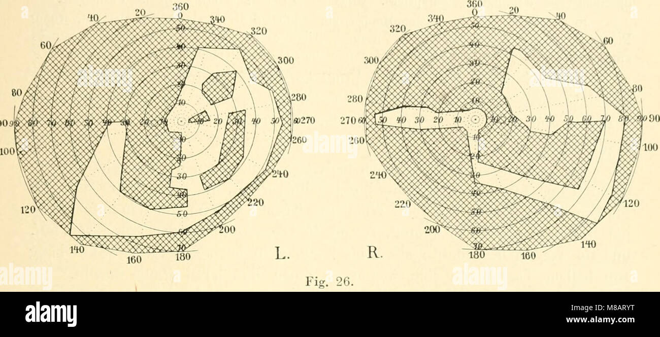 Die Neurologie des auges. Ein Handbuch für Nerven- und Augenärzte (1900) (14783672575) Banque D'Images