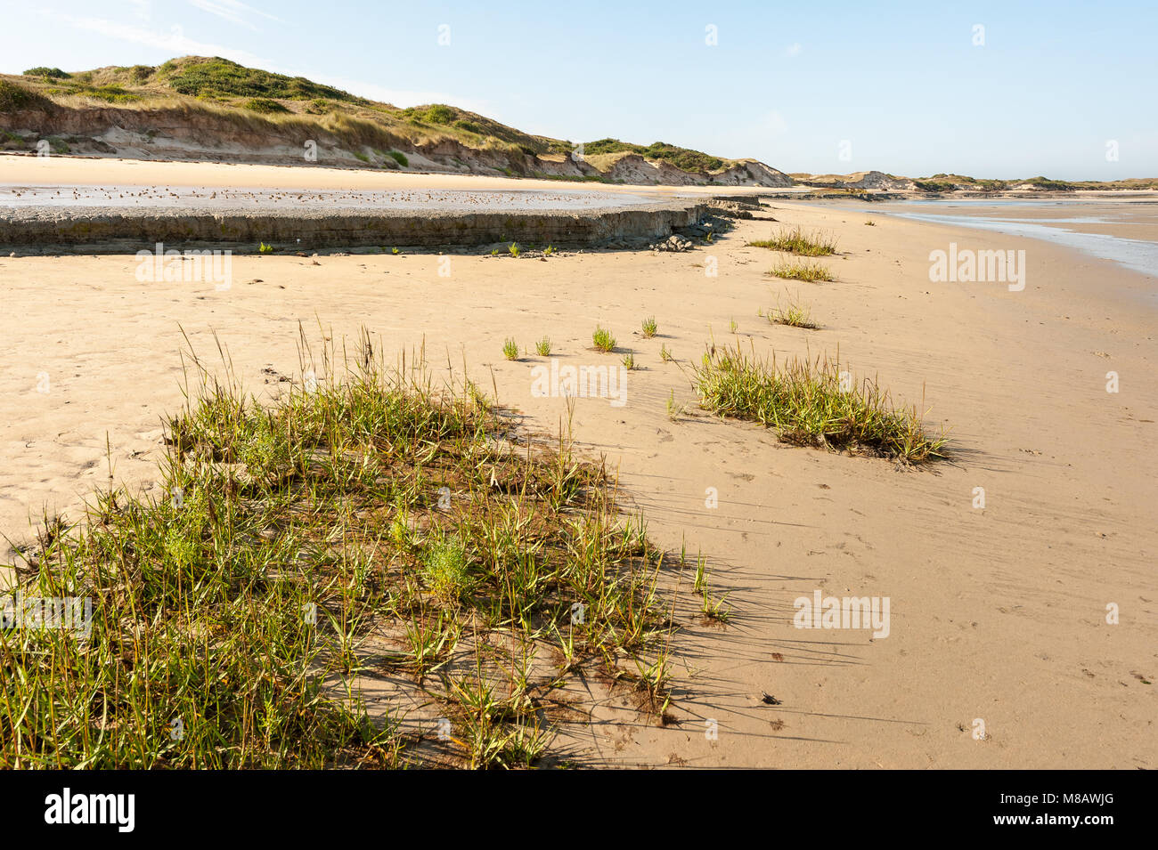 Plage De Sable Avec Des Usines Près De Portbail Normandie