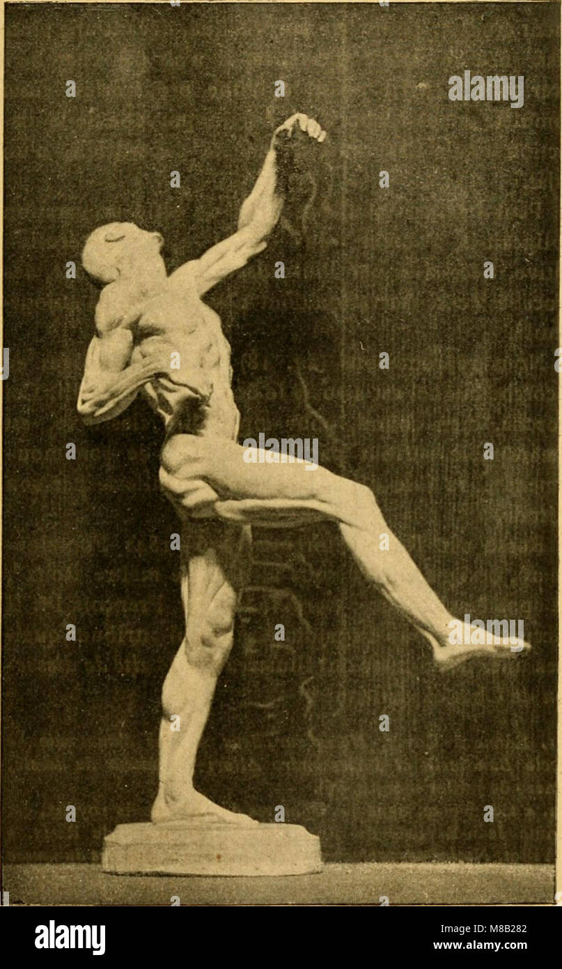 Histoire de l'pot plastique - les maitres, les livres et les écorchés (1898) (14798621903) Banque D'Images