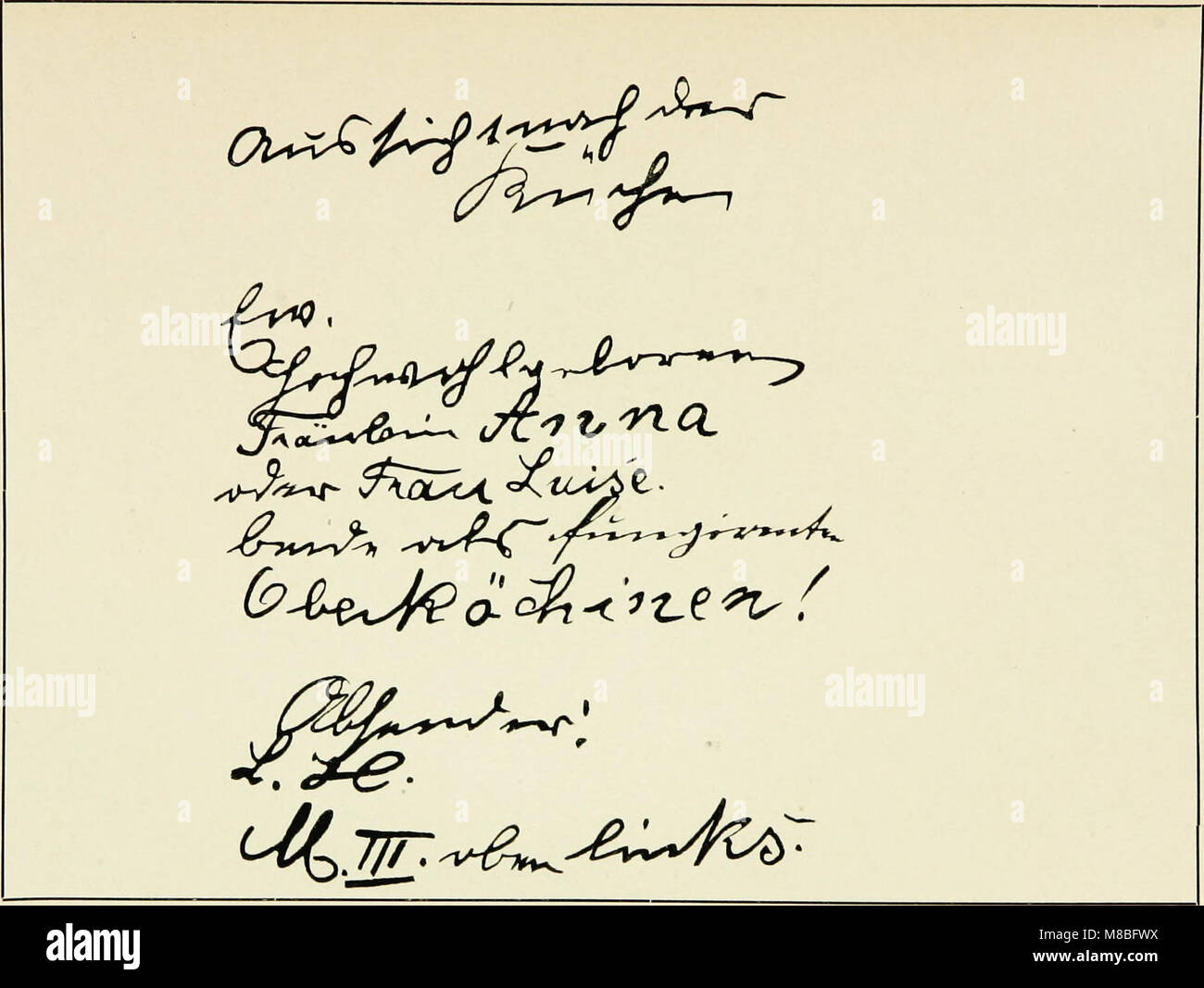 Die Schrift bei Geisteskrankheiten ; eine mit Atlas 81 Handschriftproben (1903) (14797576123) Banque D'Images