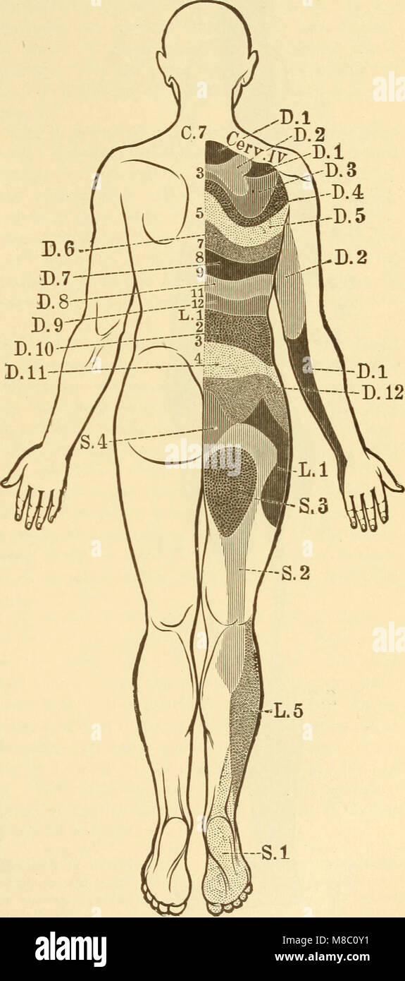 Les maladies du système nerveux (1910) (14769939811) Banque D'Images