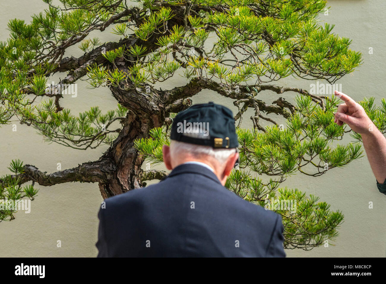 Les participants de la 94e Assemblée annuelle du Forum Perspectives agricoles (AOF) visite du National Arboretum où ils ont pu voir, entre autres choses, le National Bonsai & Penjing Museum de Washington, D.C., le 21 février 2018. L'AOF est la plus grande rencontre USDAÕs, attirant plus de 2 000 participants en provenance des États-Unis et à l'étranger. Le forum met en lumière les principales questions et sujets dans la communauté agricole, offrant une plate-forme de conversation entre les producteurs, les transformateurs, les décideurs, les autorités et les organisations non gouvernementales, tant étrangers que nationaux. USDA Banque D'Images