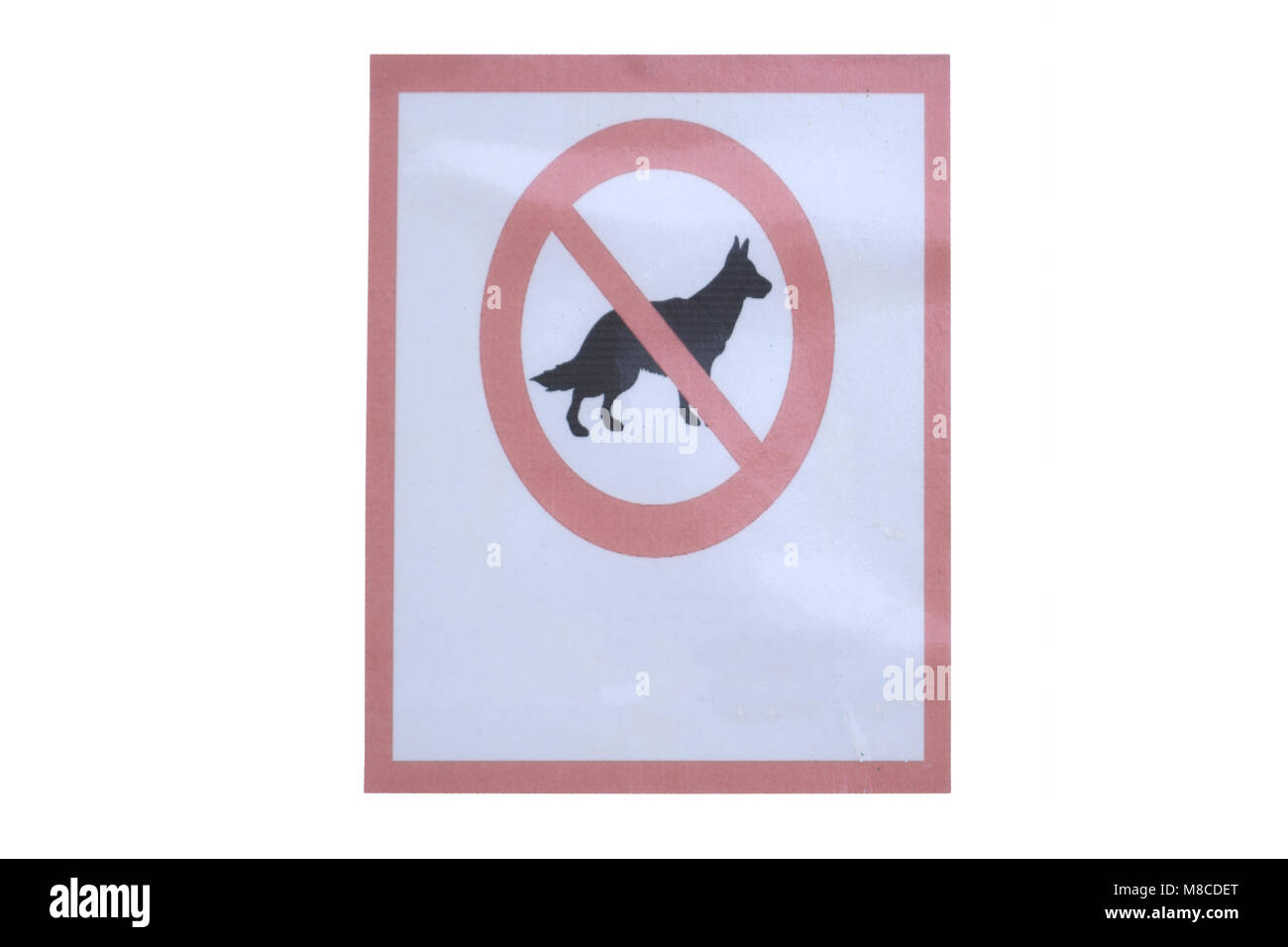 Interdire les chiens signe. L'Espagnol signe, Chiens non admis Banque D'Images