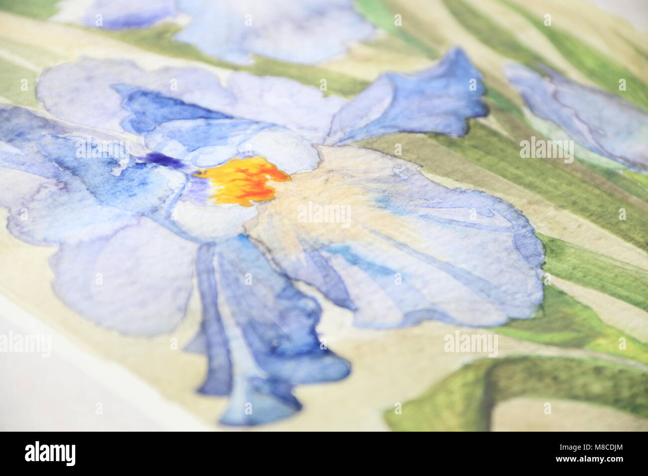 Iris fleurs aquarelle Banque D'Images