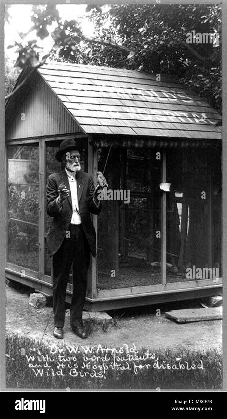 Dr W. Arnold avec deux oiseaux sauvages blessés dans son hôpital pour oiseaux handicapés, soulignant son dévouement à la réhabilitation de la faune et aux efforts de conservation pour les animaux blessés. Banque D'Images