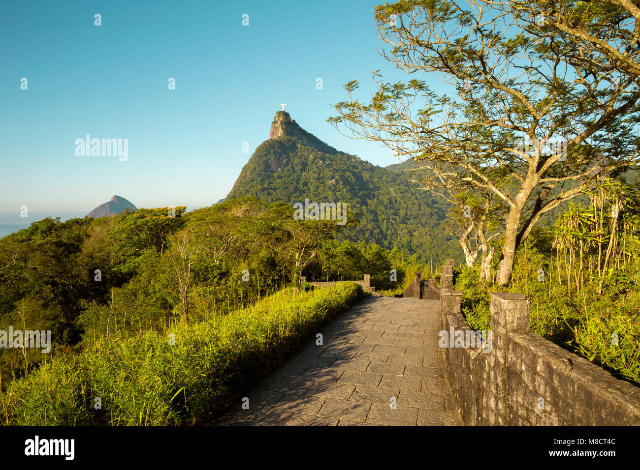 Panorama de la forêt de Tijuca et la montagne du Corcovado à Rio de Janeiro, Brésil Banque D'Images