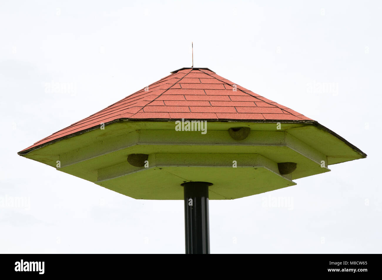 Kast nid voor de Huiszwaluw, nest box pour la Maison Martin Banque D'Images