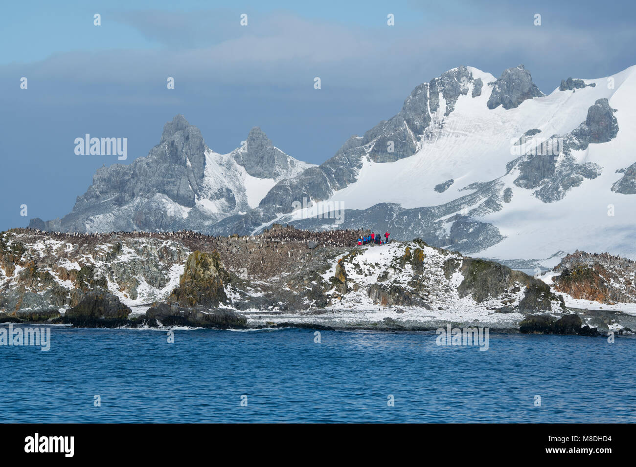 L'Antarctique, îles Shetland du Sud. Half Moon Bay à l'île de la demi-lune. Les touristes d'aventure à la colonie de manchots à Jugulaire (Pygoscelis antarctica) Banque D'Images
