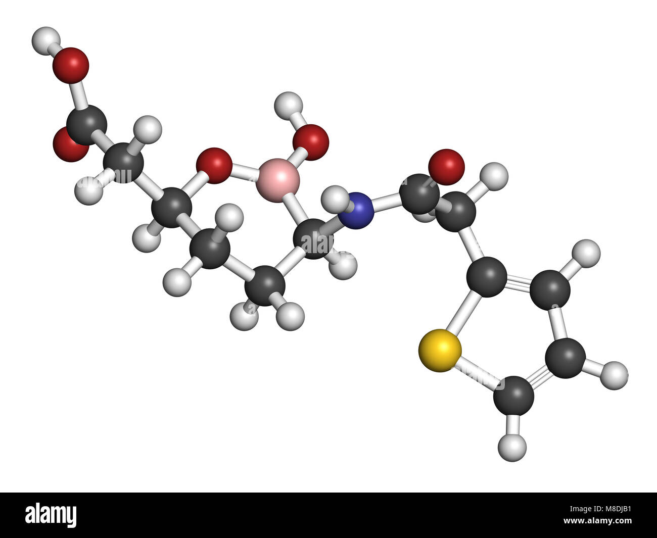 Vaborbactam molécule pharmaceutique. Les bêta-lactamases co-administré avec le méropenem pour bloquer la dégradation de ce dernier par carbapenemase enzymes. Ren 3D Banque D'Images