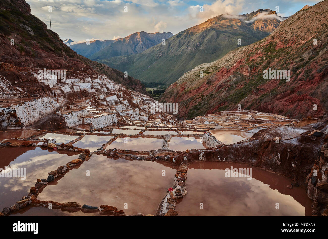 Vue sur les terrasses de sel, Maras, Cusco, Pérou Banque D'Images
